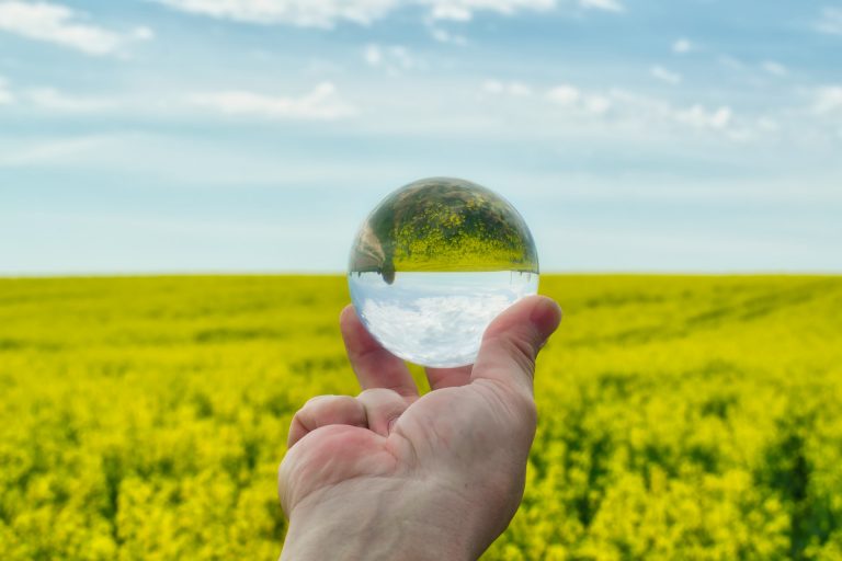 nikolett emmert W9goJcyZrj4 unsplash